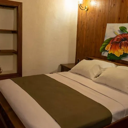 Yesil Ev Cafe & Boutique Bed & Breakfast